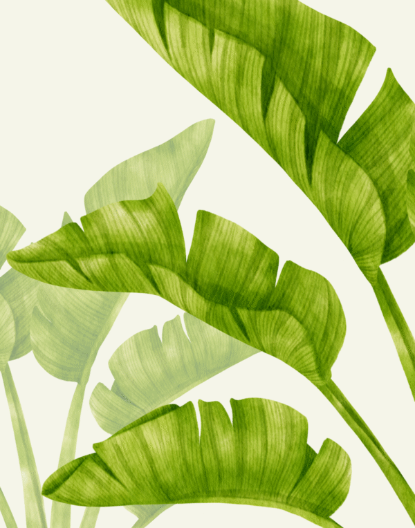 Botanical Bytes - Image 5