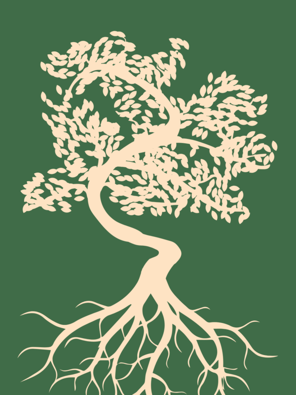 Rooted & Rising - Image 5